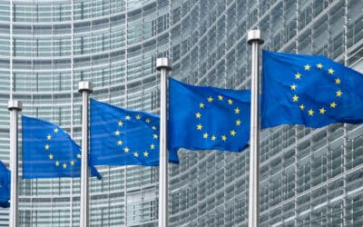 SAR of cell phone : France files a formal objection to the EU Commission